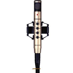 Sennheiser MKH 800 P48