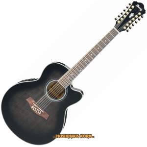 Ibanez AEL2012E-TKS 