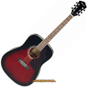 Ibanez SGT 120E VBS 