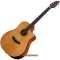 Breedlove Acoustic Guitars
