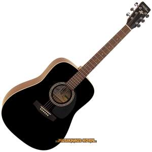Art & Lutherie Dreadnought BLK