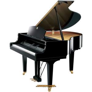 Yamaha CGP-1000 PE