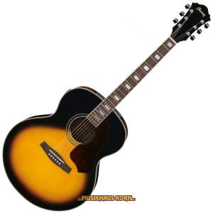 Ibanez SGT 230E VS 