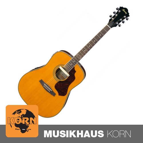 Ibanez SGE 120 ATN