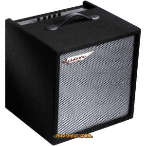 ASHDOWN Perfect Ten Bassverstärker Combo