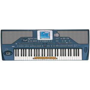 Korg PA-800 B-Ware